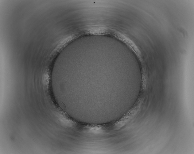 X0000111460113200907271259