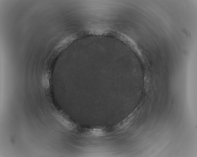 X0000111460114200907271259