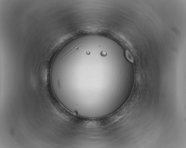 X0000111460115200907271259