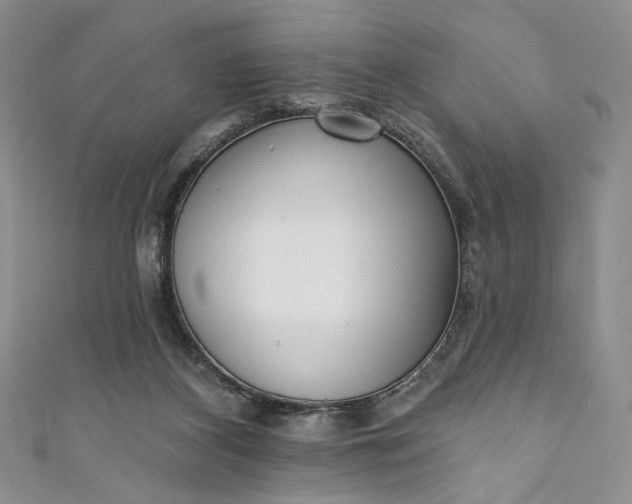 X0000111460116200907271259