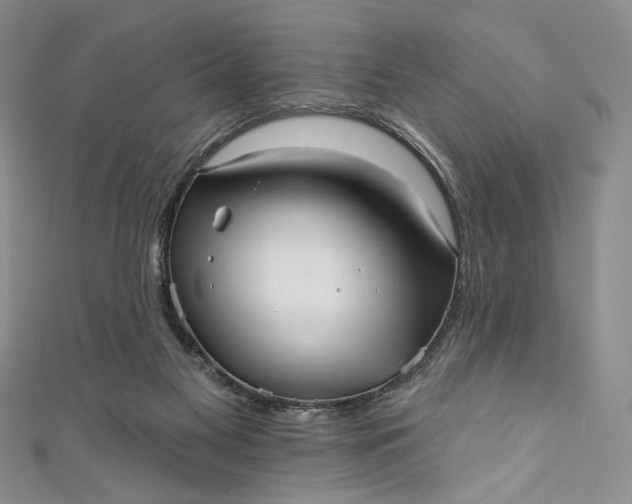X0000111460117200907271259