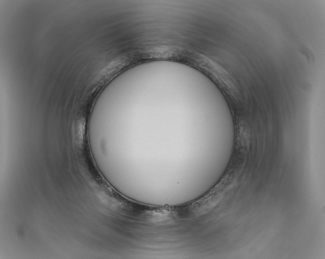 X0000111460118200907271259
