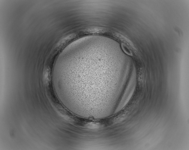 X0000111460119200907271259