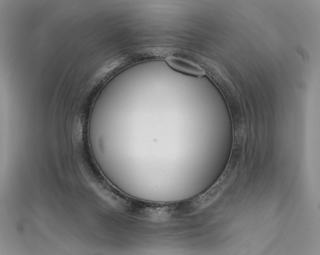 X0000111460120200907271259