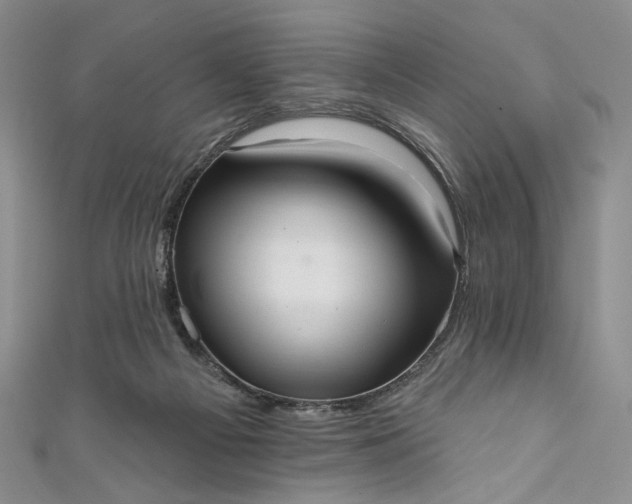 X0000111460121200907271259