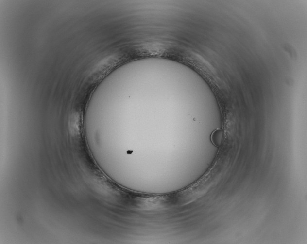 X0000111460122200907271259