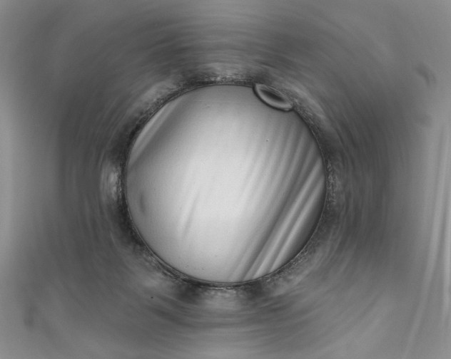 X0000111460123200907271259