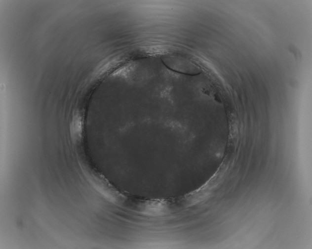 X0000111460124200907271259