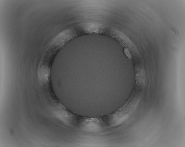 X0000111460125200907271259
