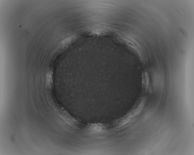 X0000111460127200907271259