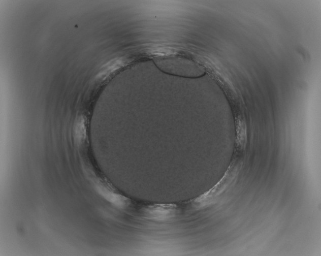 X0000111460128200907271259