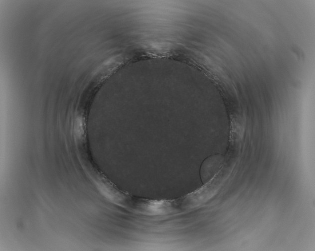 X0000111460130200907271259
