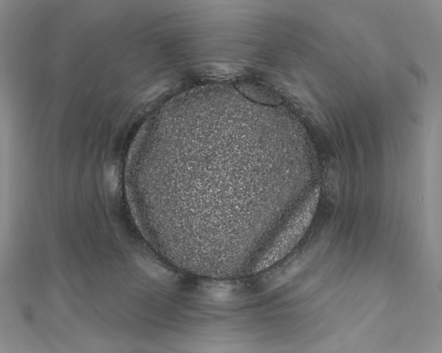 X0000111460131200907271259