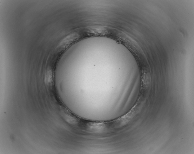 X0000111460132200907271259