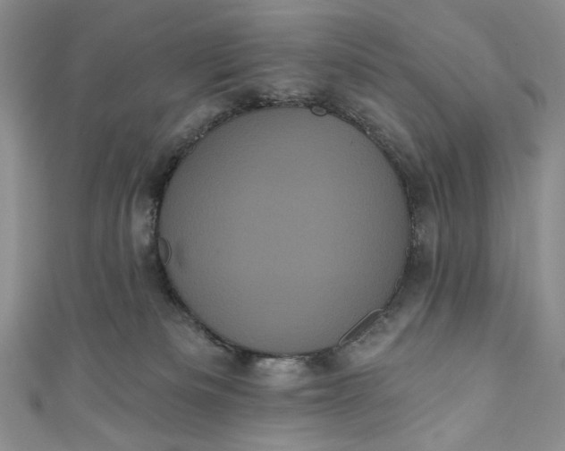 X0000111460133200907271259