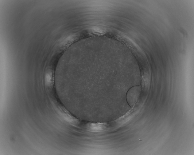 X0000111460134200907271259