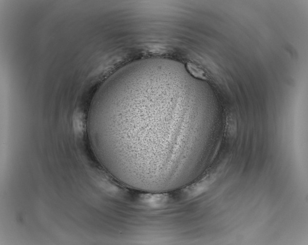 X0000111460135200907271259
