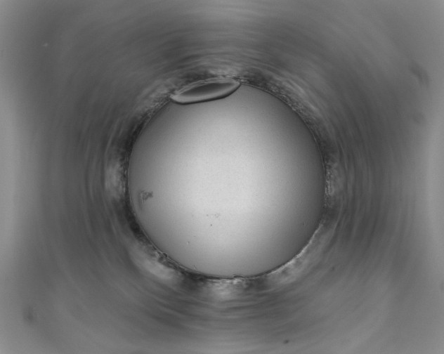 X0000111460136200907271259