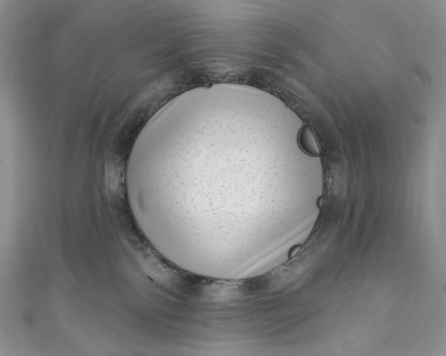 X0000111460138200907271259