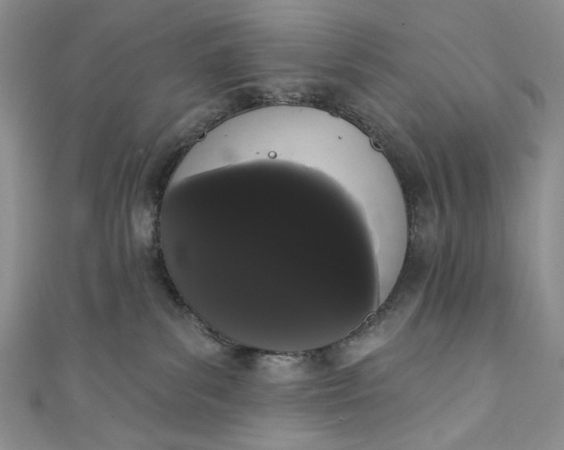X0000111460139200907271259