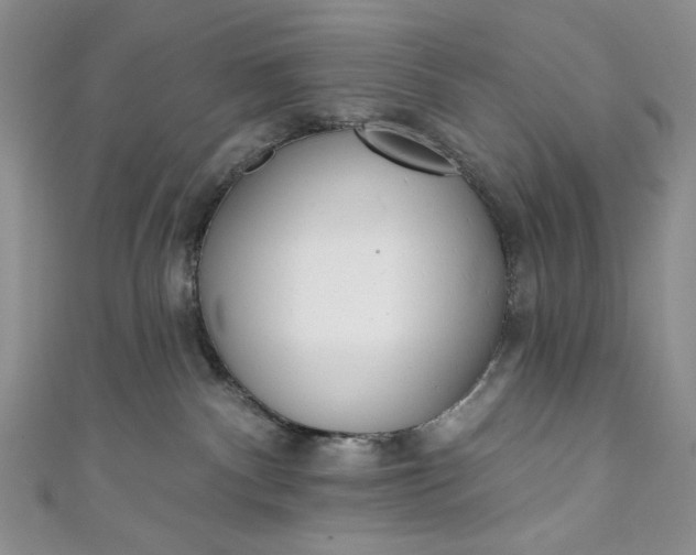 X0000111460140200907271259