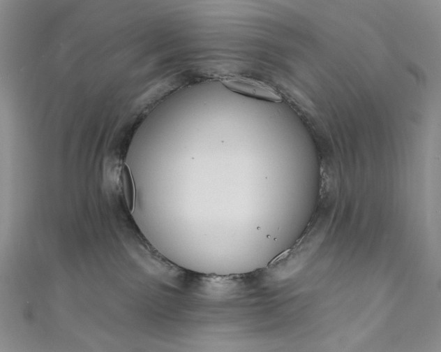 X0000111460141200907271259