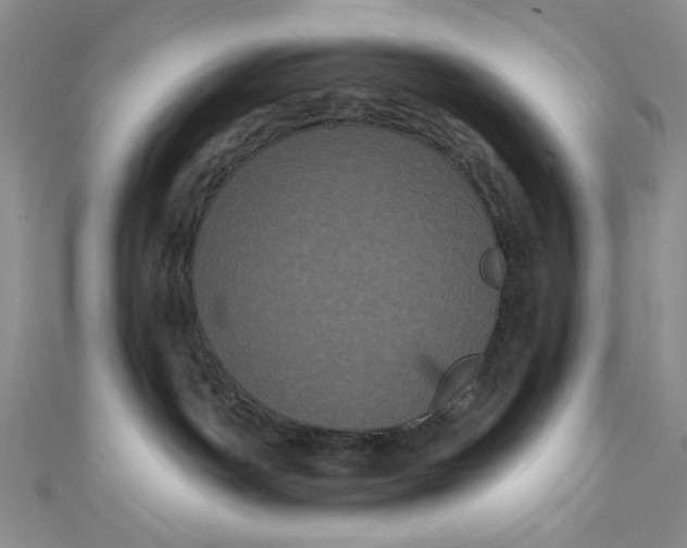 X0000111460142200907271259