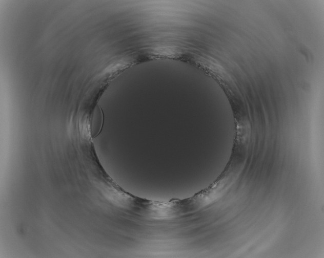 X0000111460143200907271259