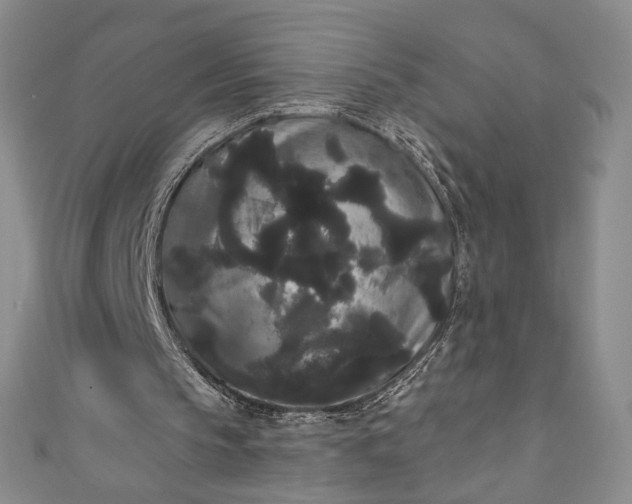 X0000111460145200907271258