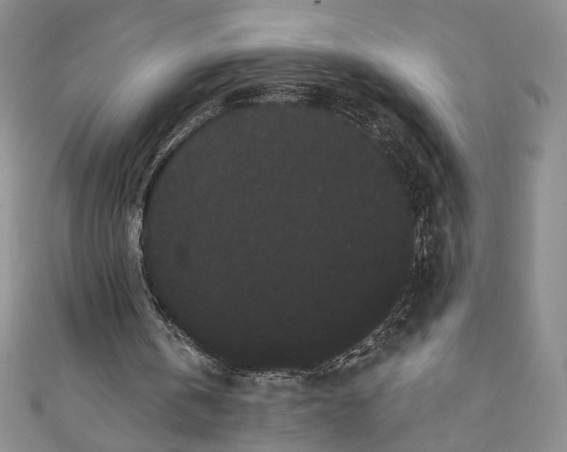 X0000111460146200907271258