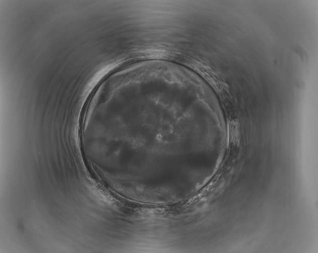 X0000111460147200907271258