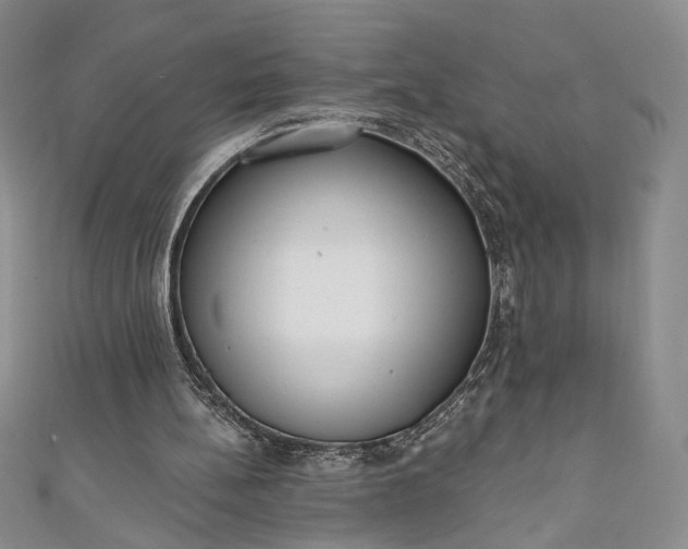 X0000111460148200907271258