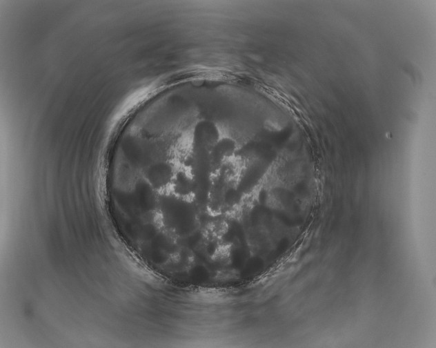 X0000111460149200907271258