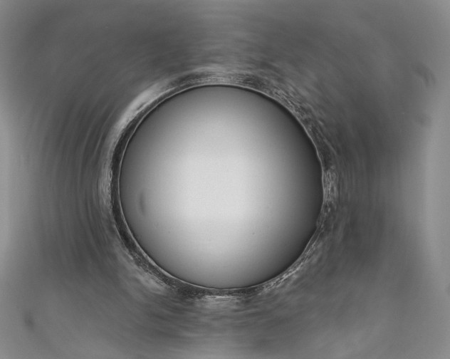 X0000111460150200907271258
