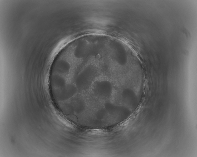 X0000111460151200907271258