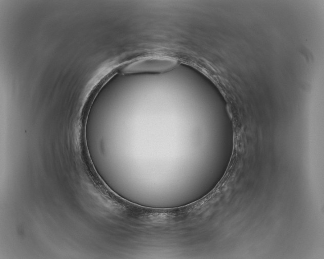 X0000111460152200907271258