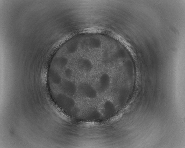 X0000111460153200907271258