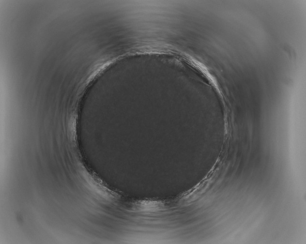 X0000111460154200907271258