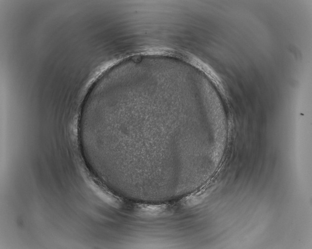 X0000111460155200907271258