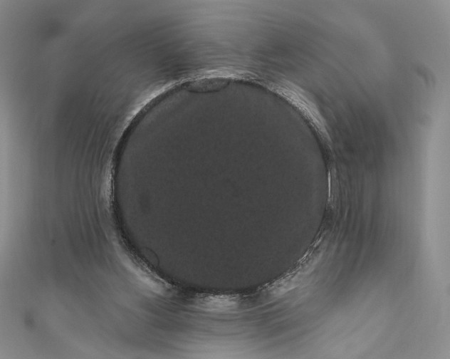 X0000111460156200907271258
