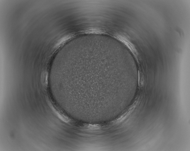 X0000111460157200907271258