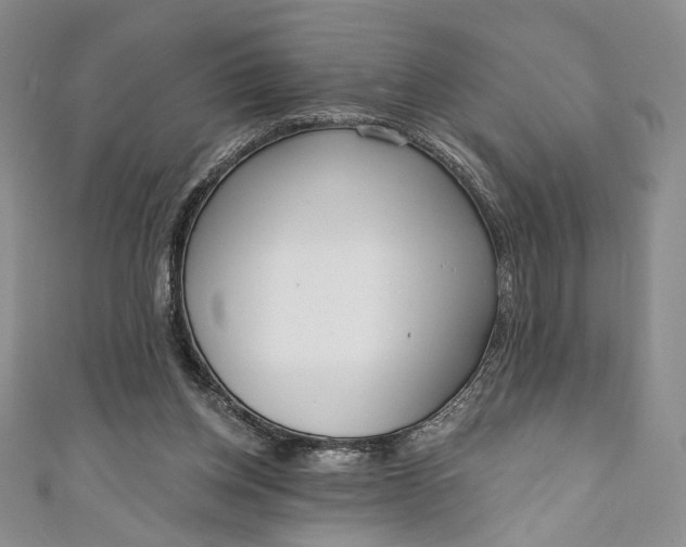 X0000111460158200907271258