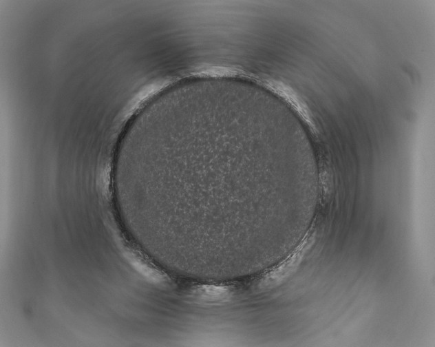 X0000111460159200907271258