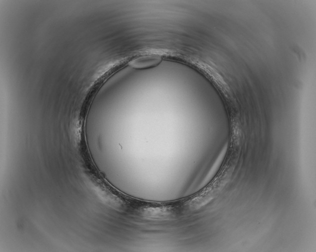 X0000111460160200907271258