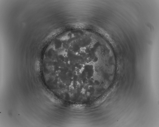 X0000111460161200907271258