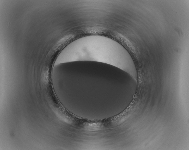 X0000111460163200907271258