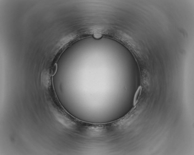X0000111460164200907271258