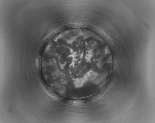 X0000111460165200907271258