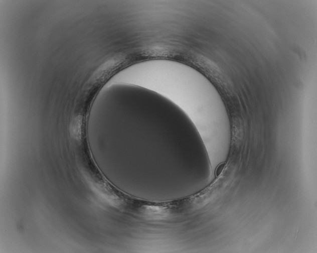 X0000111460167200907271258