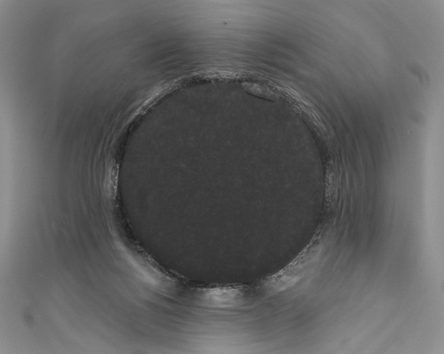 X0000111460168200907271258